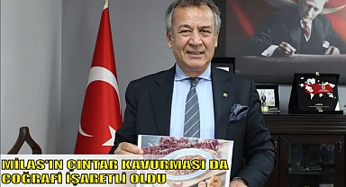 MİLAS'IN ÇINTAR KAVURMASI DA COĞRAFİ İŞARETLİ OLDU