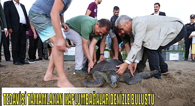 TEDAVİSİ TAMAMLANAN KAPLUMBAĞALAR DENİZLE BULUŞTU