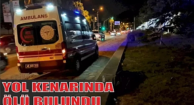 YOL KENARINDA ÖLÜ BULUNDU