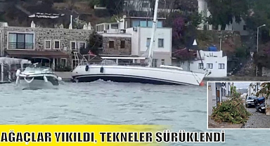 AĞAÇLAR YIKILDI, TEKNELER SÜRÜKLENDİ