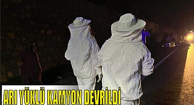 ARI YÜKLÜ KAMYON DEVRİLDİ