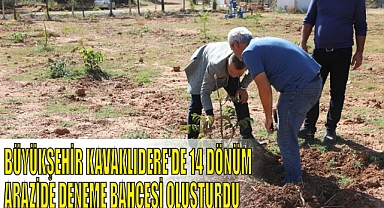 BÜYÜKŞEHİR KAVAKLIDERE’DE 14 DÖNÜM ARAZİDE DENEME BAHÇESİ OLUŞTURDU