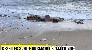 CESETLER SAHİLE VURMAYA DEVAM EDİYOR