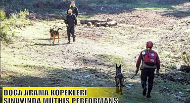 DOĞA ARAMA KÖPEKLERİ SINAVINDA MÜTHİŞ PERFORMANS 