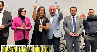 MİLAS'IN ATA AĞACI ÖDÜL ALDI
