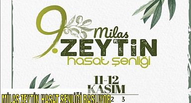 MİLAS ZEYTİN HASAT ŞENLİĞİ BAŞLIYOR