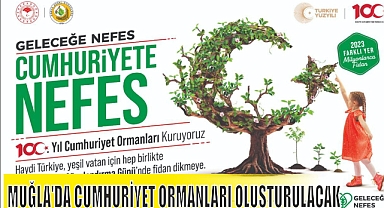 MUĞLA'DA CUMHURİYET ORMANLARI OLUŞTURULACAK