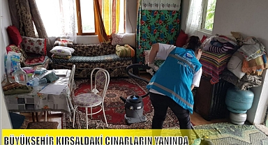 BÜYÜKŞEHİR KIRSALDAKİ ÇINARLARIN YANINDA