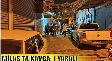 MİLAS'TA KAVGA 1 YARALI