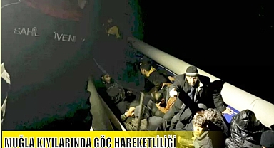 MUĞLA KIYILARINDA GÖÇ HAREKETLİLİĞİ