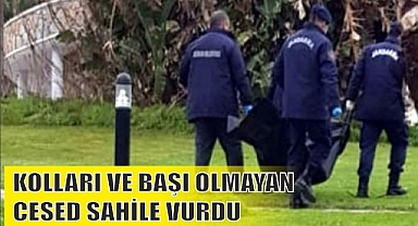 KOLLARI VE BAŞI OLMAYAN CESED SAHİLE VURDU