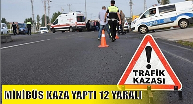 MİNİBÜS KAZA YAPTI 12 YARALI