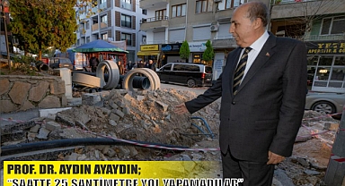 PROF. DR. AYDIN AYAYDIN; “SAATTE 25 SANTİMETRE YOL YAPAMADILAR”