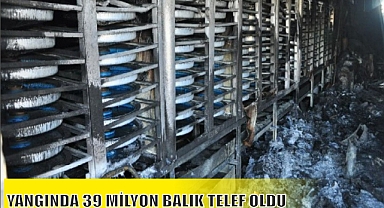 YANGINDA 39 MİLYON BALIK TELEF OLDU