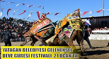 YATAĞAN BELEDİYESİ GELENEKSEL DEVE GÜREŞİ FESTİVALİ, 21 OCAK’TA