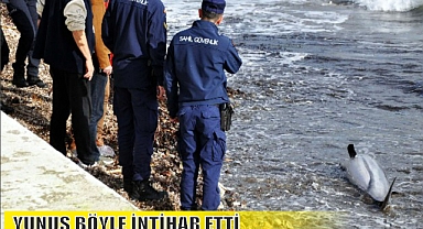 YUNUS ONLARCA KİŞİNİN ÖNÜNDE BÖYLE İNTİHAR ETTİ