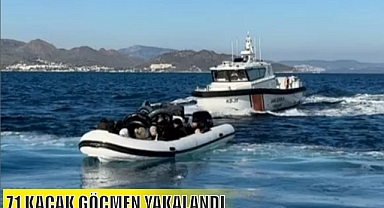 71 KAÇAK GÖÇMEN YAKALANDI