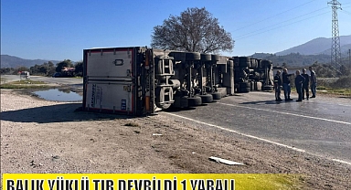 BALIK YÜKLÜ TIR DEVRİLDİ 1 YARALI
