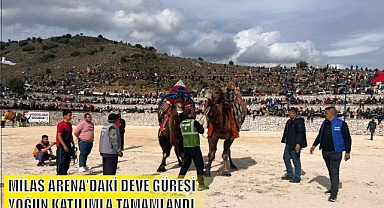 MİLAS ARENA’DAKİ DEVE GÜREŞİ YOĞUN KATILIMLA TAMAMLANDI