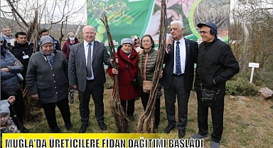 MUĞLA'DA ÜRETİCİLERE FİDAN DAĞITIMI BAŞLADI