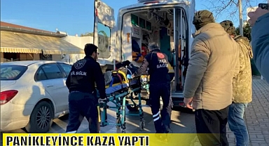 PANİKLEYİNCE KAZA YAPTI