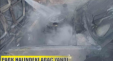PARK HALİNDEKİ ARAÇ YANDI