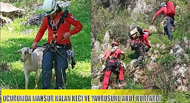 UÇURUMDA MAHSUR KALAN KEÇİ VE YAVRUSUNU AKUT KURTARDI