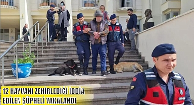 12 HAYVANI ZEHİRLEDİĞİ İDDİA EDİLEN ŞÜPHELİ YAKALANDI