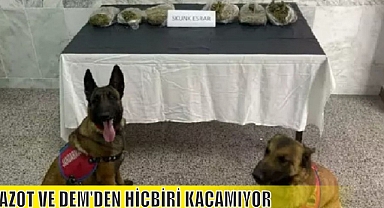 AZOT VE DEM'DEN HİÇBİRİ KAÇAMIYOR