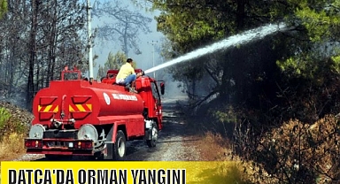 DATÇA'DA ORMAN YANGINI