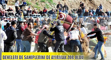 DEVELERİ DE SAHİPLERİNİ DE AYIRMAK ZOR OLDU