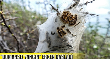 “DUMANSIZ YANGIN” ERKEN BAŞLADI