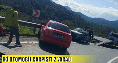 İKİ OTOMOBİL ÇARPIŞTI 2 YARALI
