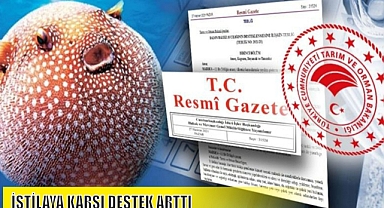 İSTİLAYA KARŞI DESTEK ARTTI