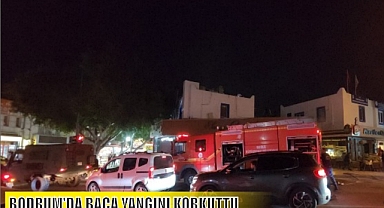 BODRUM’DA BACA YANGINI KORKUTTU