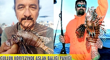GÜLLÜK KÖRFEZİNDE ASLAN BALIĞI PANİĞİ