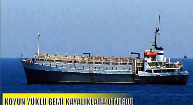 KOYUN YÜKLÜ GEMİ KAYALIKLARA OTURDU