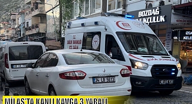 MİLAS'TA KANLI KAVGA 3 YARALI
