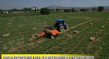 MUĞLA BÜYÜKŞEHİR KABA YEM ÜRETİMİNDE İLK HASADINI YAPTI
