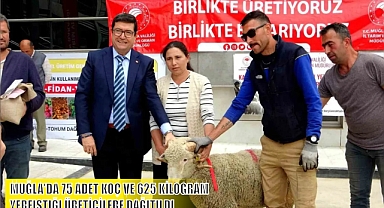 MUĞLA'DA 75 ADET KOÇ VE 625 KİLOGRAM YERFISTIĞI ÜRETİCİLERE DAĞITILDI