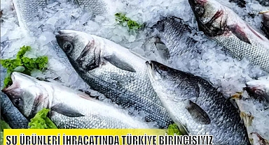 SU ÜRÜNLERİ İHRACATINDA TÜRKİYE BİRİNCİSİYİZ