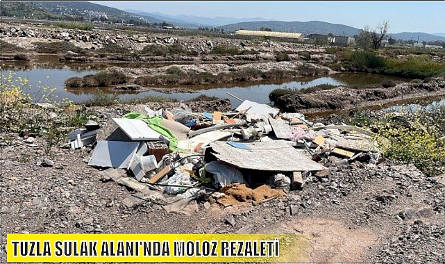 TUZLA SULAK ALANI'NDA MOLOZ REZALETİ
