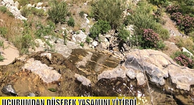 UÇURUMDAN DÜŞEREK YAŞAMINI YİTİRDİ