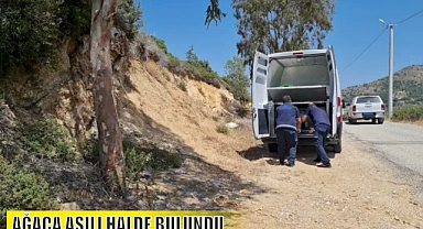 AĞACA ASILI HALDE BULUNDU