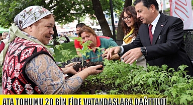 ATA TOHUMU 20 BİN FİDE VATANDAŞLARA DAĞITILDI