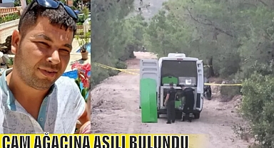 ÇAM AĞACINA ASILI BULUNDU