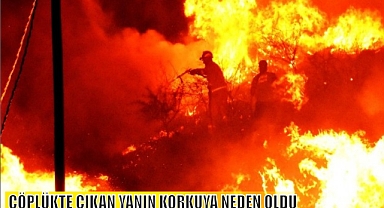 ÇÖPLÜKTE ÇIKAN YANIN KORKUYA NEDEN OLDU