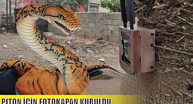 PİTON İÇİN FOTOKAPAN KURULDU