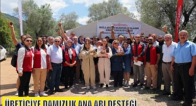 ÜRETİCİYE DAMIZLIK ANA ARI DESTEĞİ