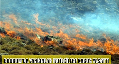 BODRUM'DA YANGINLAR TATİLCİLERE KABUS YAŞATTI